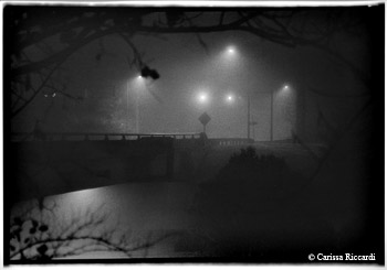Night fog-Carissa Riccardi