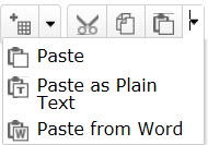 Paste as Plain Text in D2L
