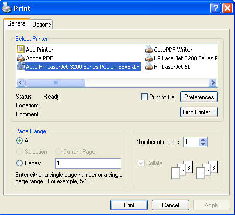 Print dialog box showing HP Laser Jet 3200 printer selected. Button next to all pages is selected. Shows a print button at the bottom of the screen to print.