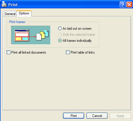 Print dialog box with the Options tab selected. 