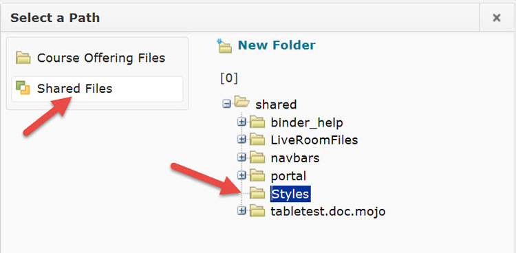 Select Shared Files and the Styles folder
