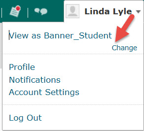 Student View in D2L