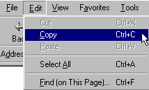 Shows Edit menu with Copy selected and Ctrl+C as a shortcut.